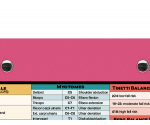 WhiteCoat Clipboard® - Pink Occupational Therapy Edition